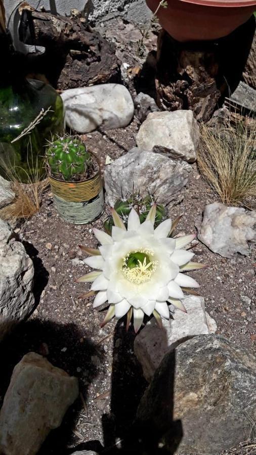 Shekinah Hotel Villa Cura Brochero Bagian luar foto